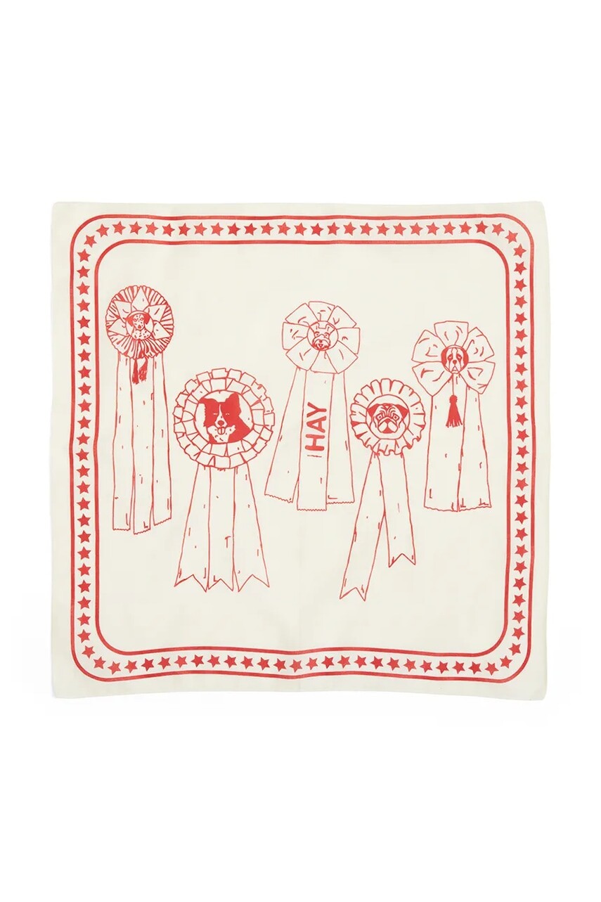 HAY šatka pre psa 55 x 55 cm