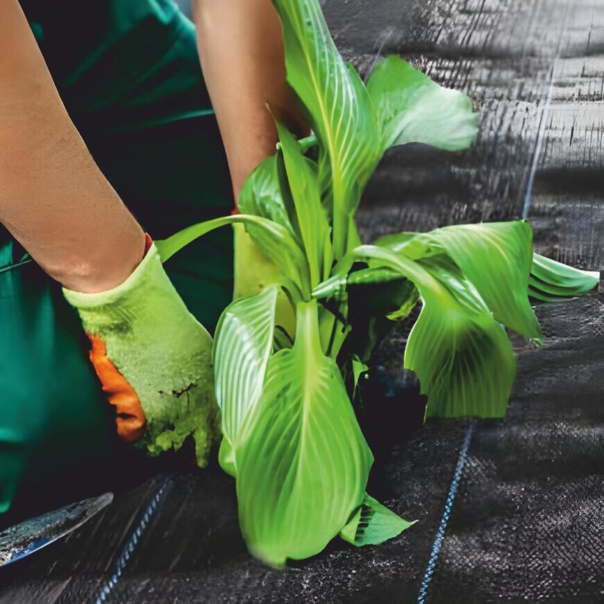 Mulčovacia agrotextília 3,2x5 m 50 g/m2 čierna