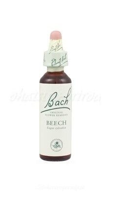 Výpredaj - Beech - Buk lesný - bachove kvapky