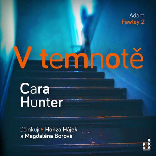 V temnotě - Cara Hunterová (mp3 audiokniha)