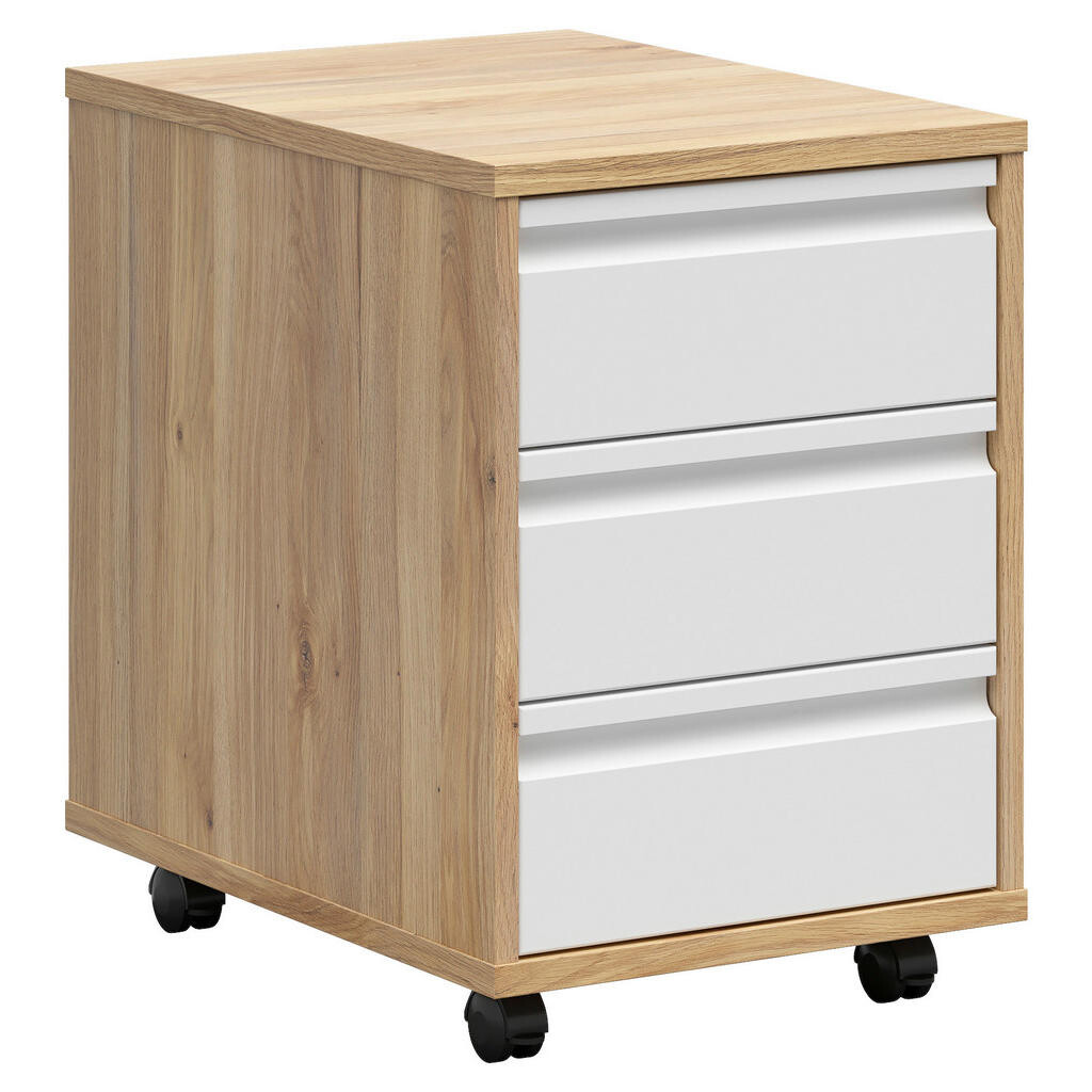 Carryhome KONTAJNER NA KOLIESKACH, 43/66,5/56 cm