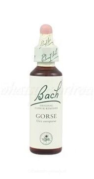 Výpredaj - Gorse - Útesovec európsky 20 ml - bachove kvapky