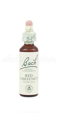 Výpredaj - Red Chestnut - Červený gaštan 20 ml - bachove kvapky