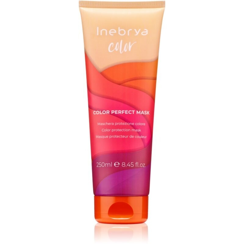 Inebrya Color Perfect Mask maska na ochranu farby 250 ml