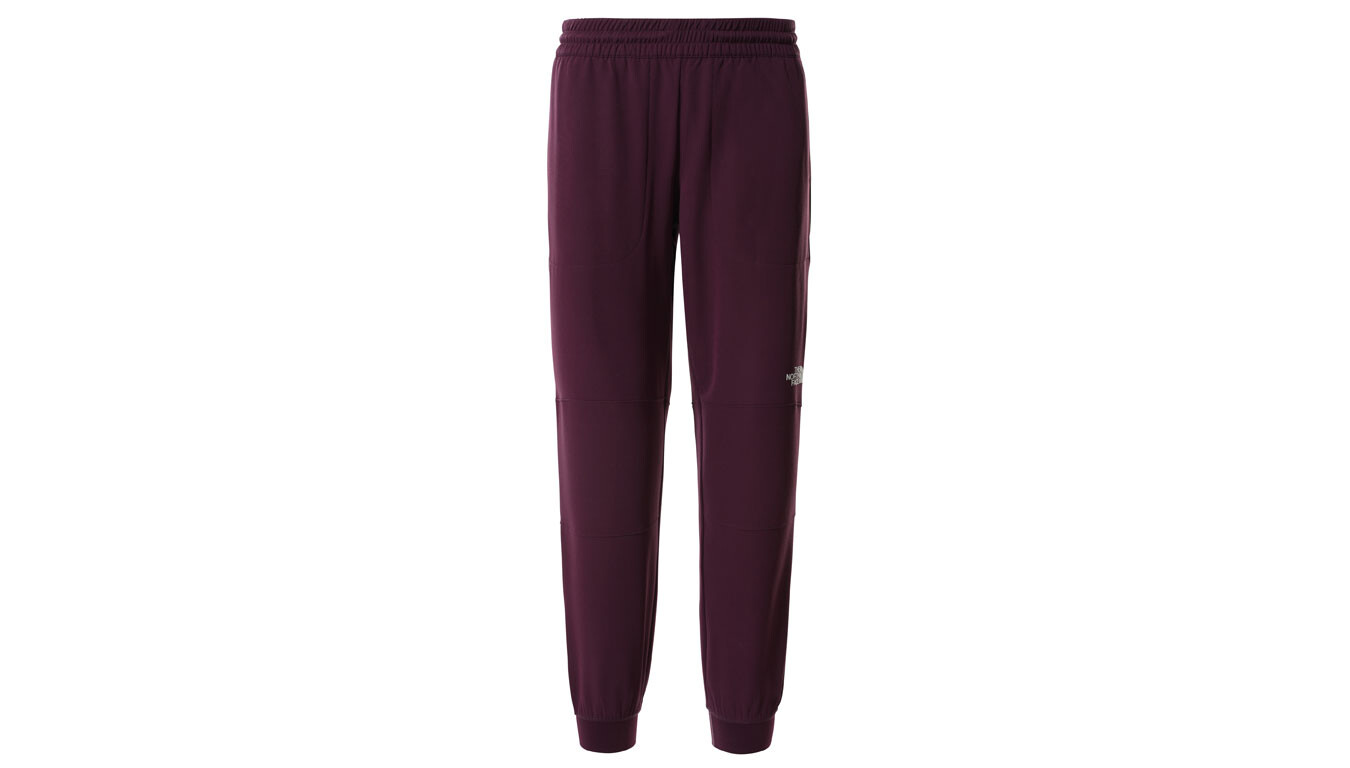 Dámske nohavice The North Face W Tekwr Fleece