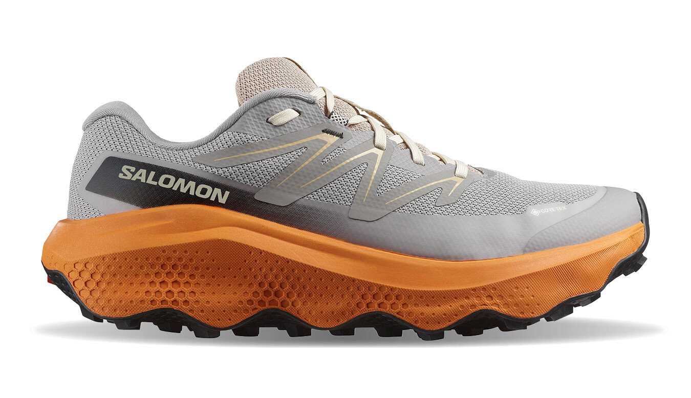 Pánske tenisky Salomon Ultra Flow 2 GTX sivé