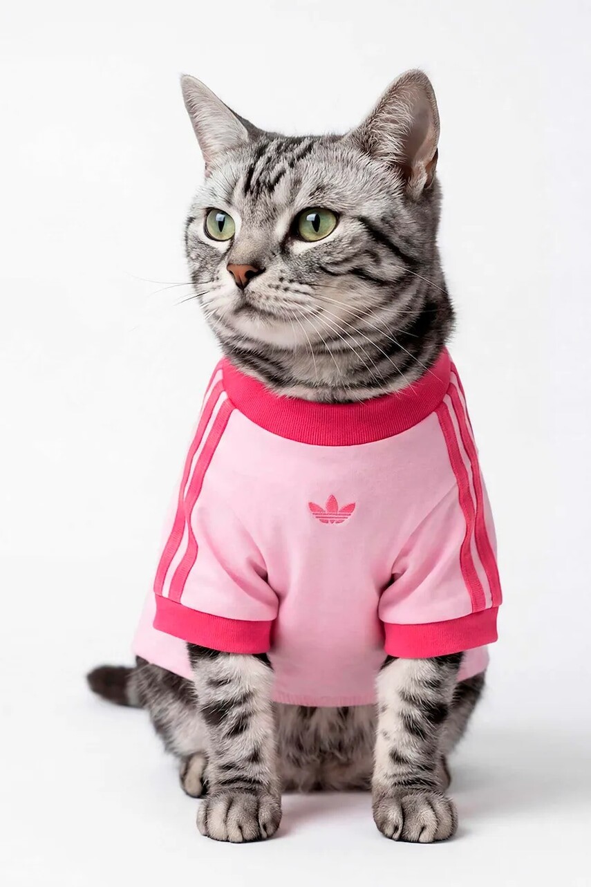 adidas Originals košeľa pre domáceho maznáčika Pet Cali