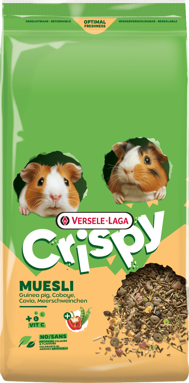 Krmivo Versele-Laga Crispy Muesli Guinea Pigs pre morčatá 9 kg