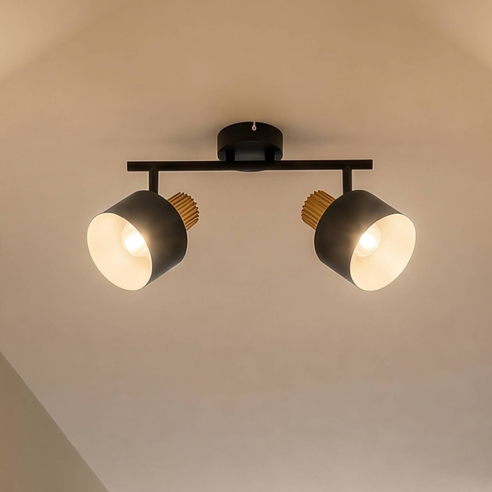 Stropné bodové svetlo Lindby Lenja, 2-pl., čierny, E14, kov