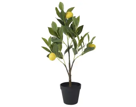 Umelá rastlina Citrónovník v kvetináči, 60 cm%