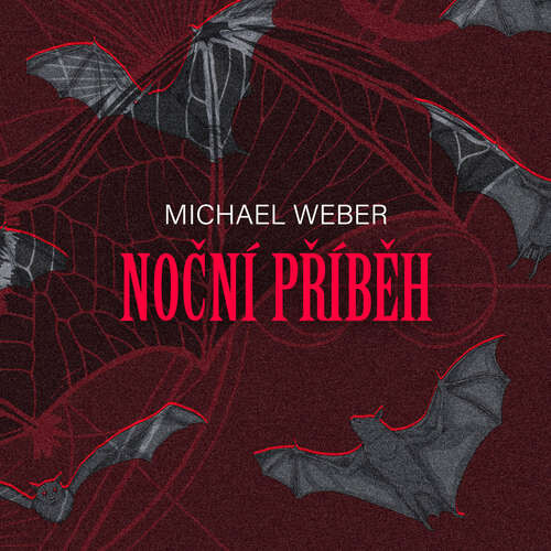 Noční příběh - Michael Weber (mp3 audiokniha)