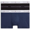 Spodky Tommy Hilfiger 3P Trunk Print