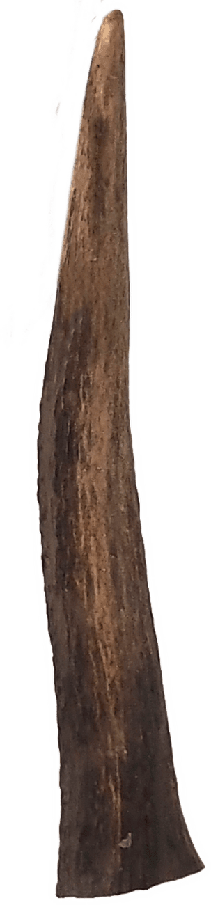 Pochúťka Ontario jelení paroh M