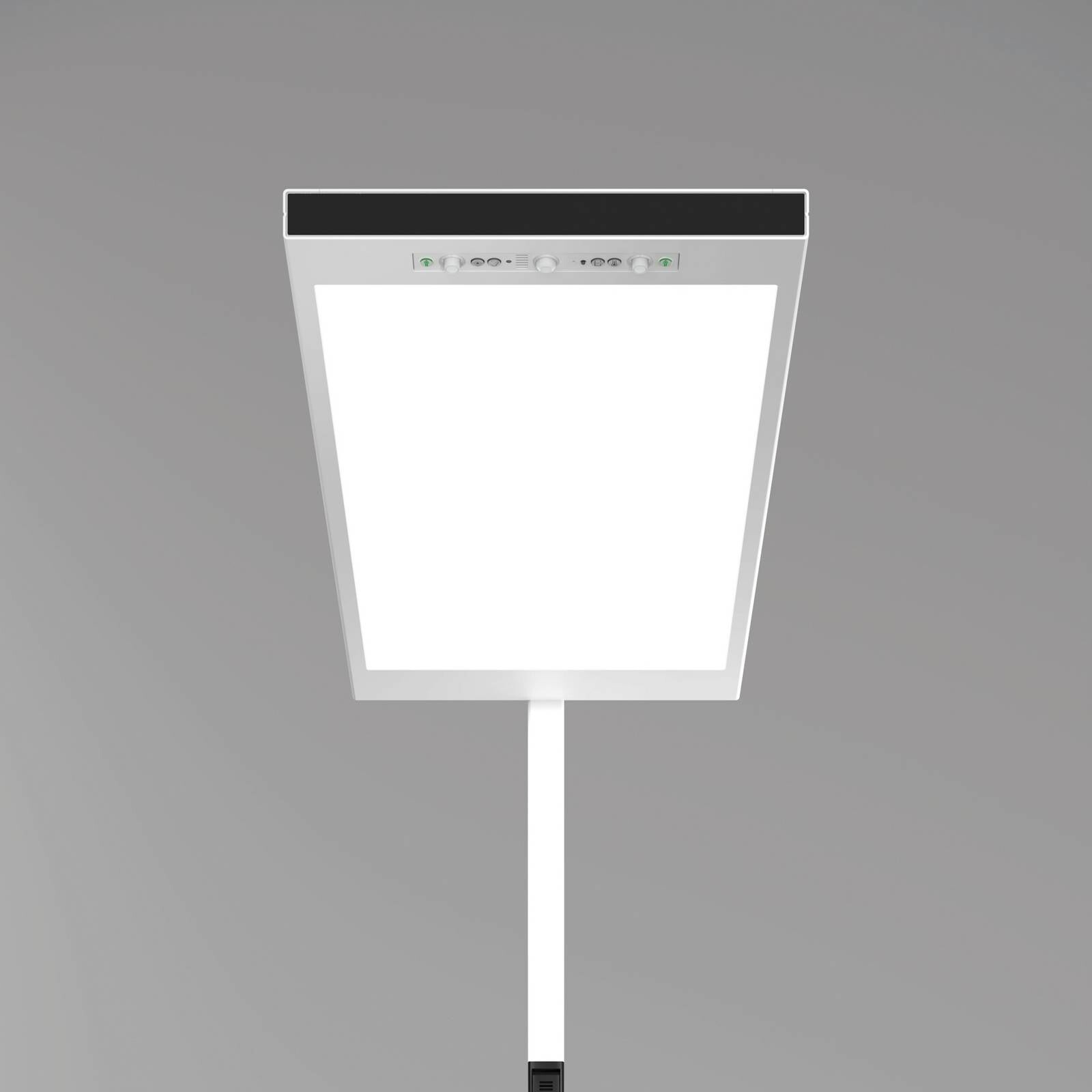 LED stojacia lampa Lavigo.single LTX, biela, CCT, inteligentná, so senzorom
