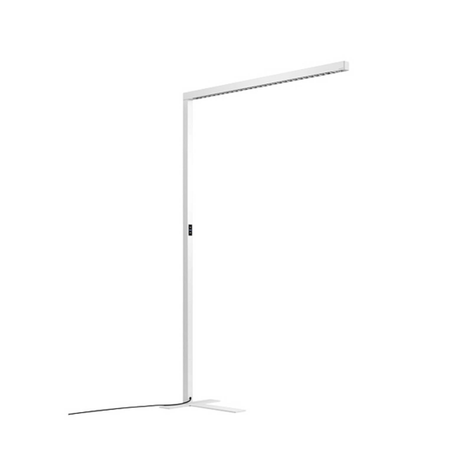 LED stojacia lampa Straight.single, biela, 3000 K, inteligentná, so senzorom