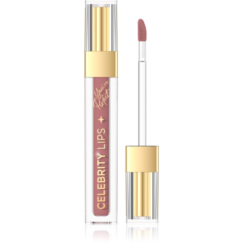 Eveline Cosmetics Celebrity Lips dlhotrvajúci matný tekutý rúž odtieň 04C 4 ml