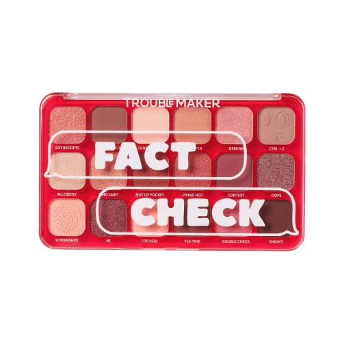 TROUBLE MAKER Big Trouble Shadow Palette Fact Check 27 g