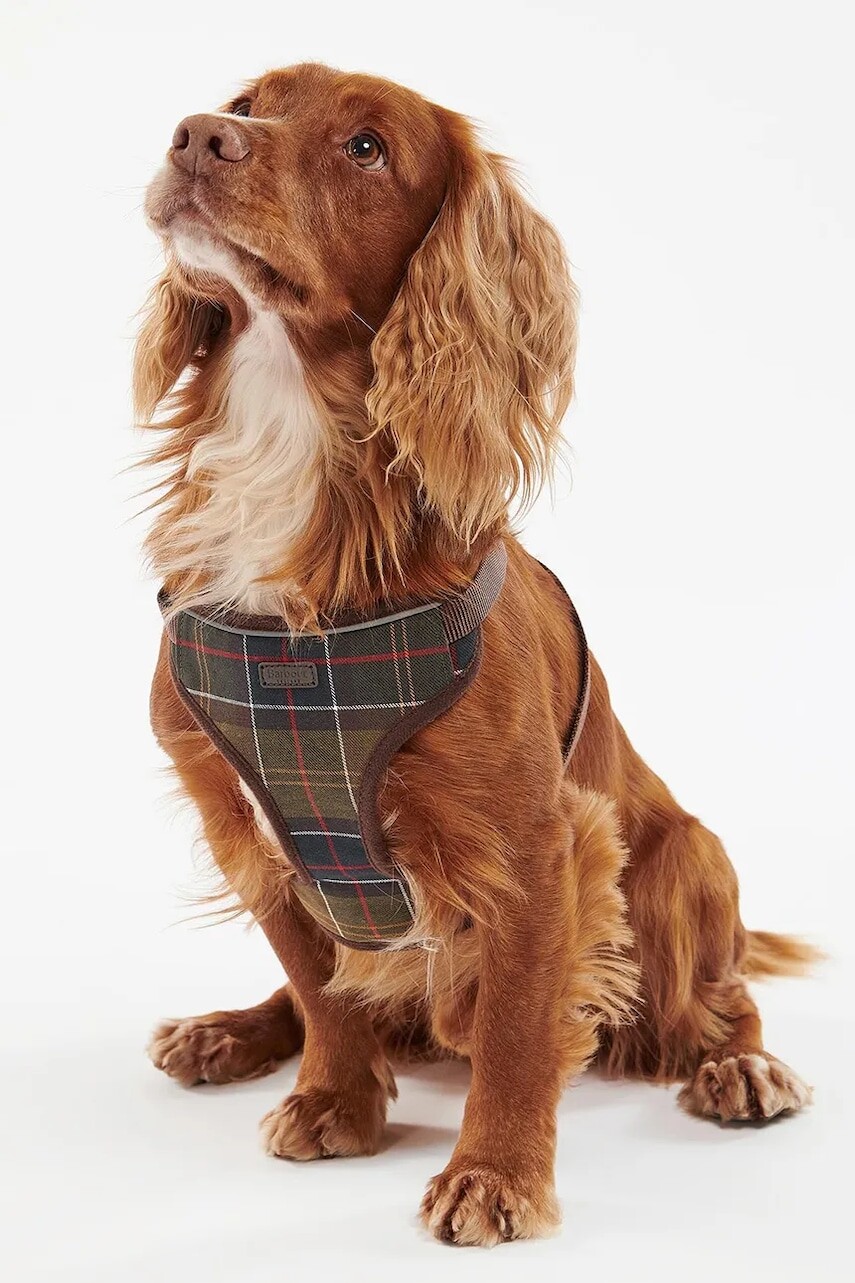 Barbour Postroj pre psa Barbour Travel And Exercise