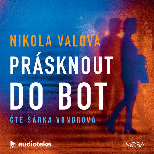Prásknout do bot - Nikola Valová (mp3 audiokniha)