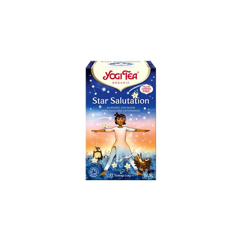 YOGI TEA BIO Čaj Pozdrav hviezdam 17 x 1.9 g