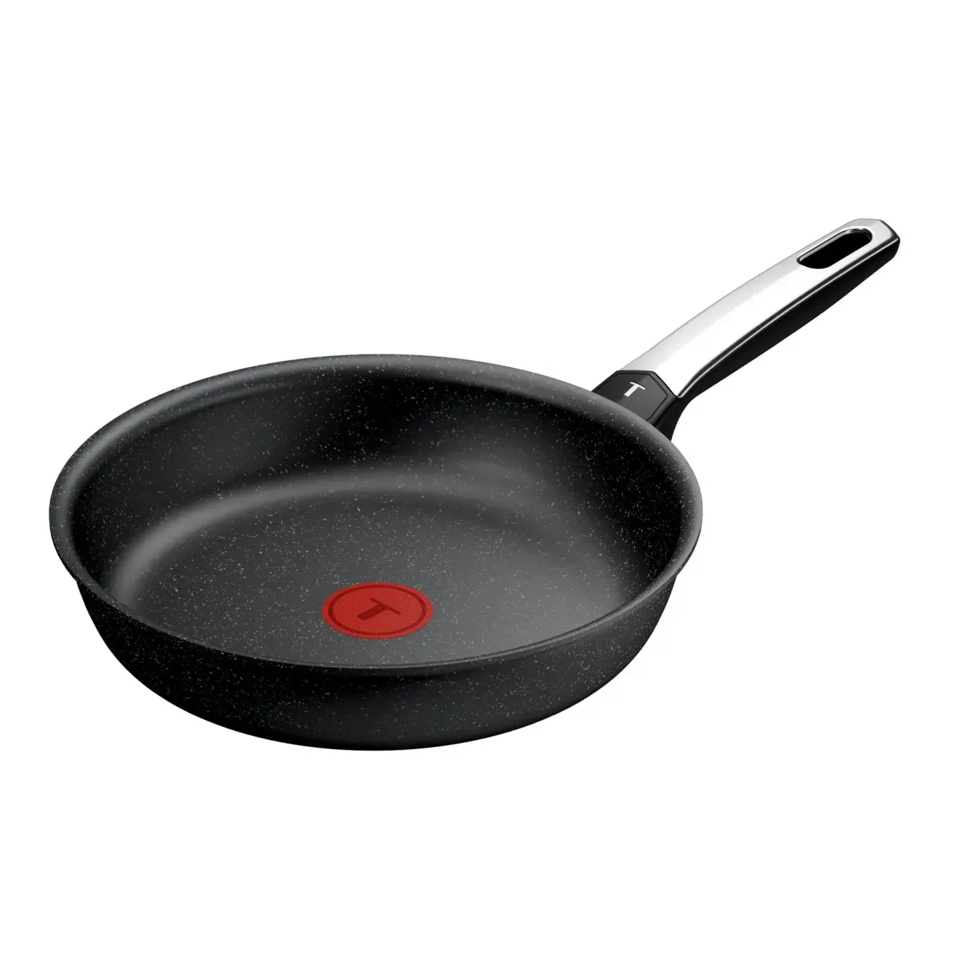 Panvica EXPERTISE+ 24 cm, titán, Tefal