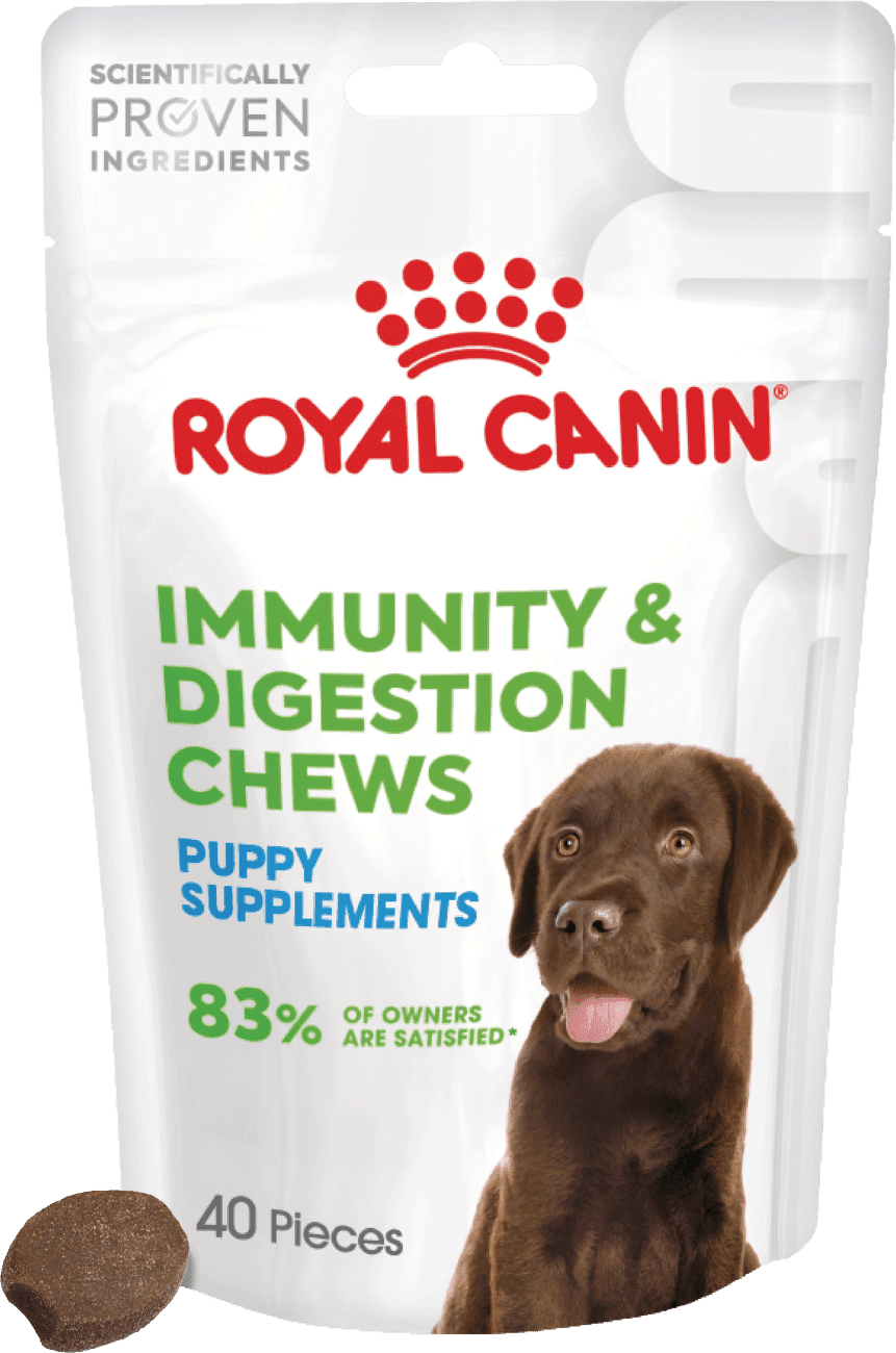 Royal Canin Puppy Immunity & Digestion Chews - 100 g