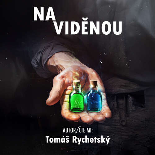 Na viděnou - Tomáš Rychetský (mp3 audiokniha)