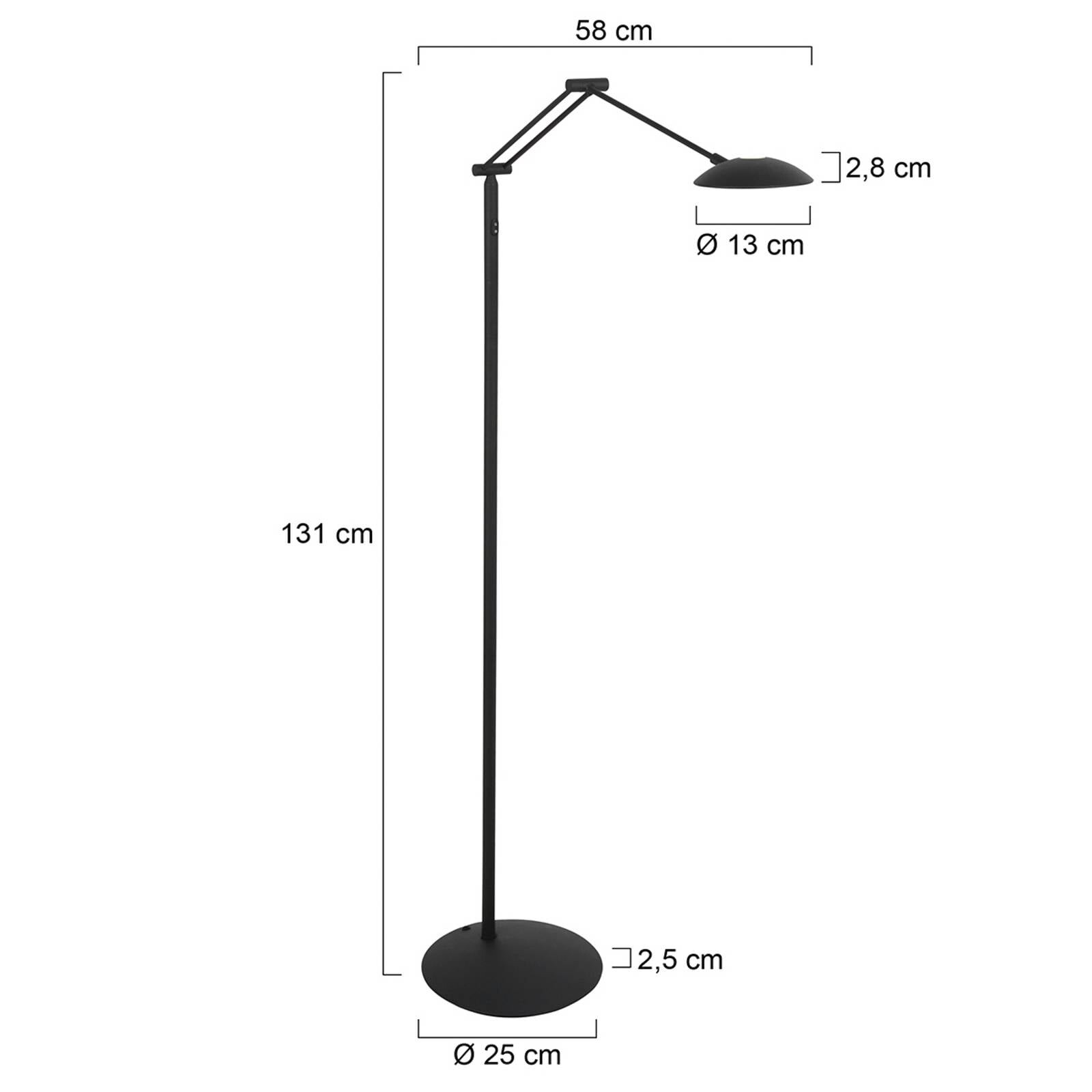 LED stojacia lampa Daphne 2, 1-pl. žiarovka, čierna, CCT, diaľkové ovládanie