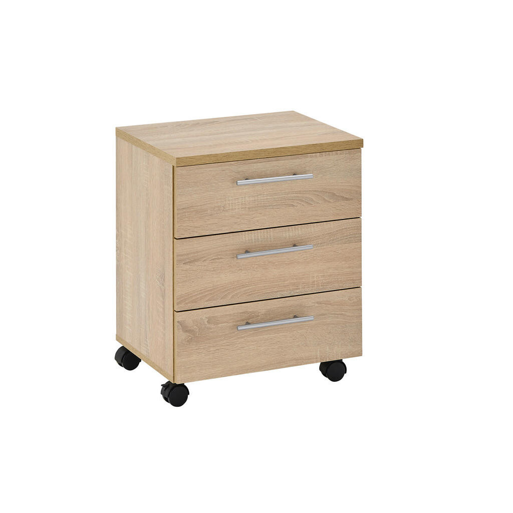 Carryhome KONTAJNER NA KOLIESKACH, 40/56/39 cm