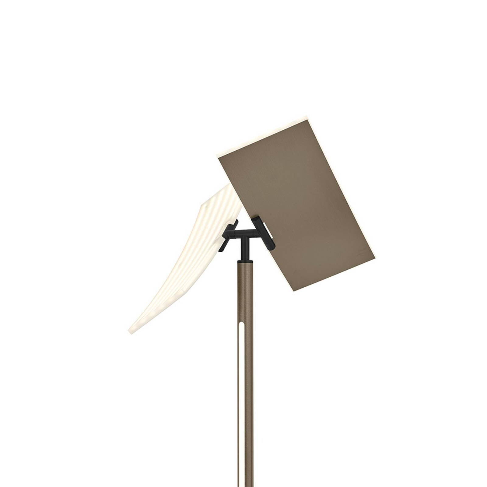 LED stojacia lampa Twice, eloxovaná v bronzovej farbe, výška 185 cm, kov, CCT