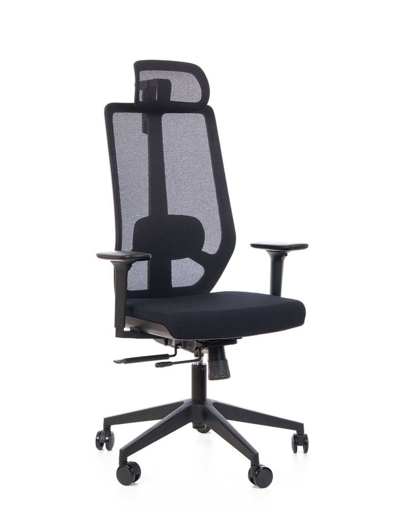 Ergonomická kancelárska stolička GRENY, čierna