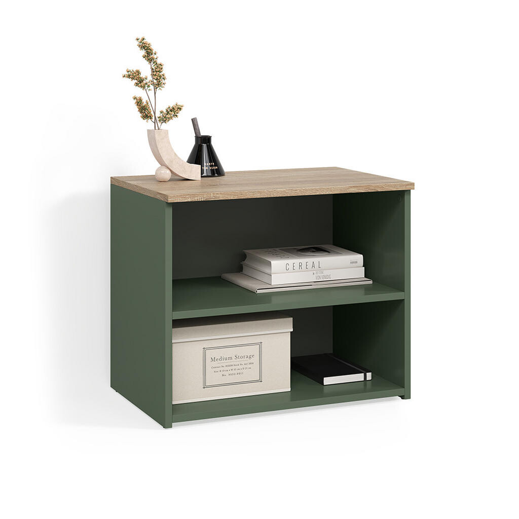 Livinity® SPODNÁ DOSKA Piave zelená 60 x 50 cm s 2 priehradkami