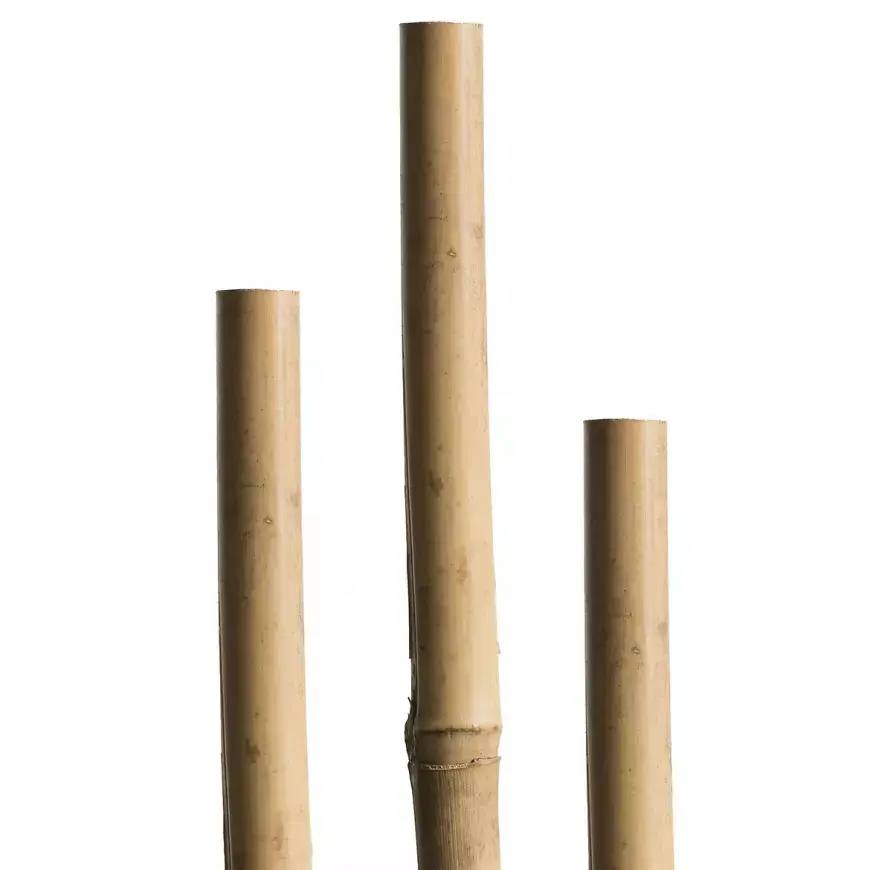 Bambusová tyč 180 cm 12/14 mm 05610