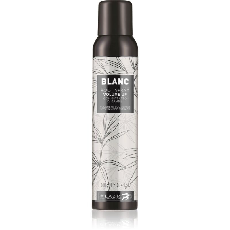 Black Professional Line Line Volume Up Root Spray objemový sprej pre jemné vlasy 300 ml