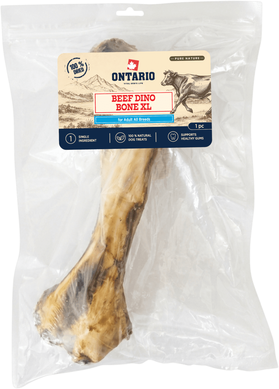 Sušená hovädzia Dino kosť XL Ontario Pure Nature 1 ks