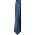 Kravaty a doplnky Kiton ucrvkrc01m3303001-blu