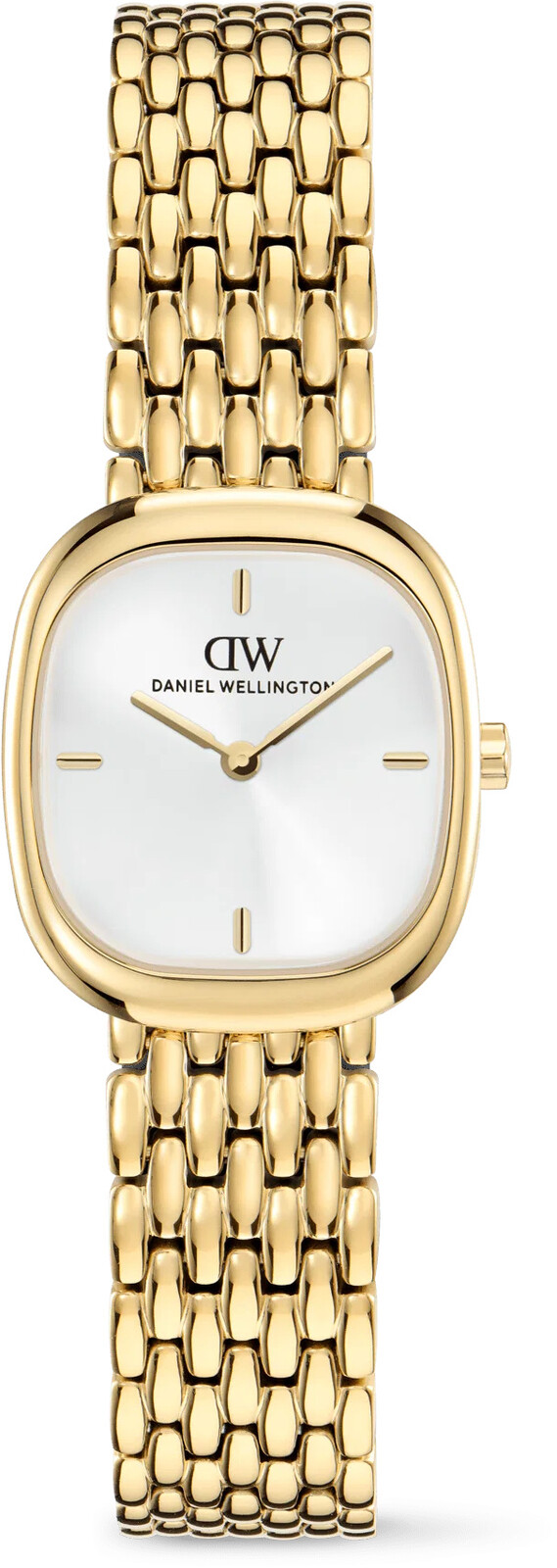 Daniel Wellington Corta 24x28 Royal Gold Unitone Grain-Link G DW00100993