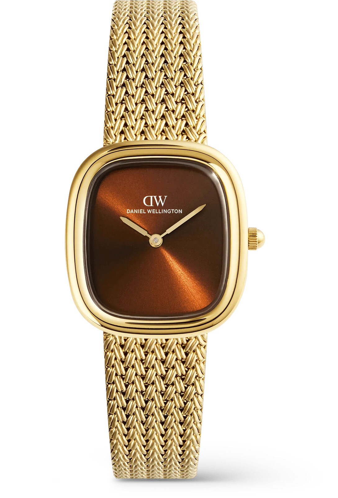 Daniel Wellington Margot 24x26mm Braided Mesh Amber G DW00100968