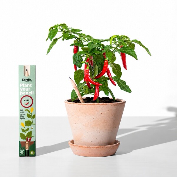 Ceruzka so semienkami Sprout - chilli