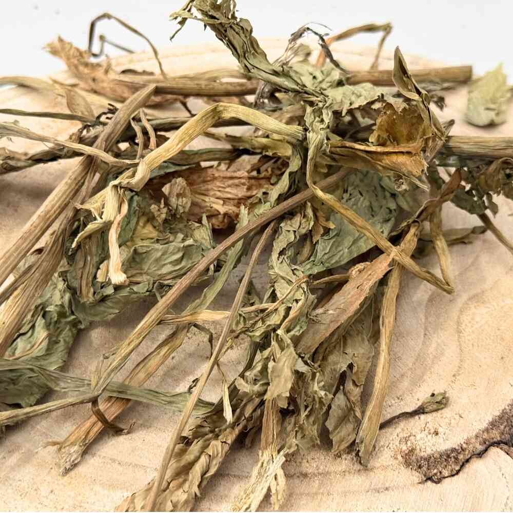 Skorocel väčší, širokolistý - vňať narezaná - Plantago major - Herba plantaginis majoris Emerosa 1000 g