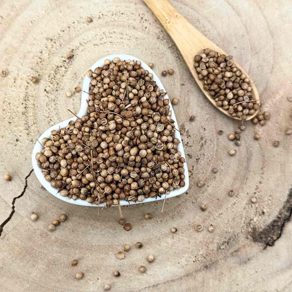 Koriander siaty - plod celý - Coriandrum sativum - Fructus coriandri Emerosa 1000 g