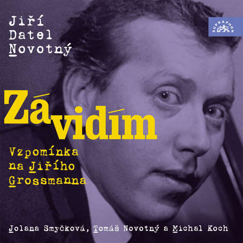 Závidím - Vzpomínka na Jiřího Grossmanna - Jiří Datel Novotný (mp3 audiokniha)