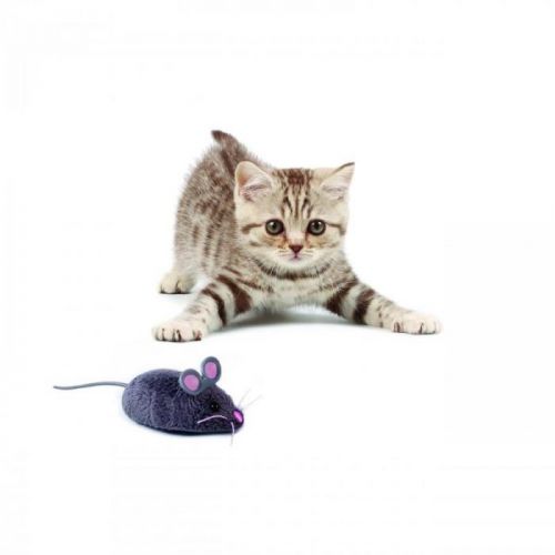 HEXBUG Robotická myš - biel