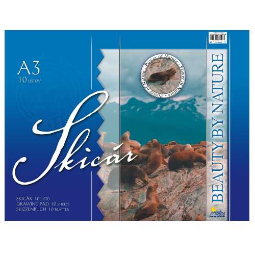 Skicár A3 10 listov Notes S31