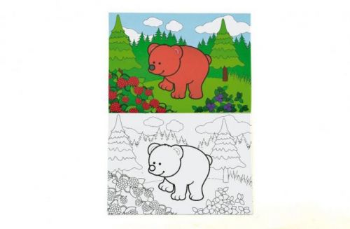 Teddies Omaľovánky Moje prvé lesné zvieratká 21x14,5cm