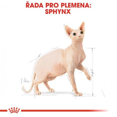 Royal Canin SPHYNX - 400g