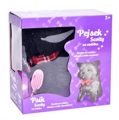 Psík Scoty na vodítku