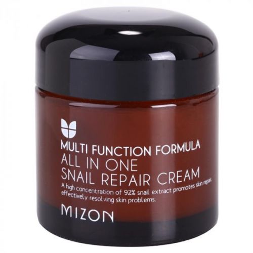 Mizon Multi Function Formula regeneračný krém s filtrátom sekrétu zo slimáka 92% 75 ml