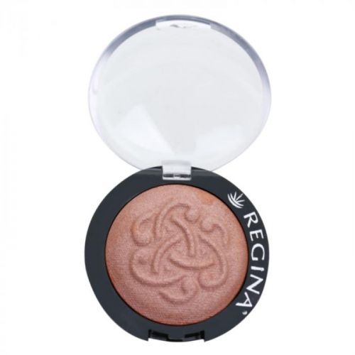 Regina Colors lícenka odtieň 04 3,5 g