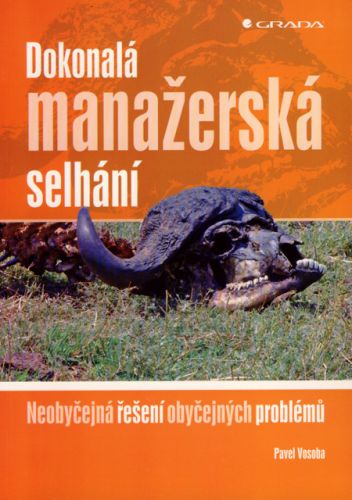 Dokonalá manažerská selhání (Neobyčejná řešení obyčejných problémů)